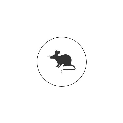 Rat & Mice