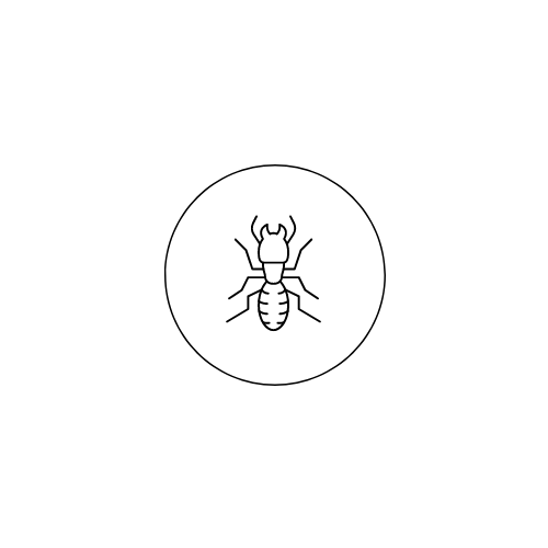 Termite-Logo.png