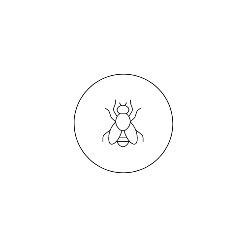 fogging-llogo-1.png