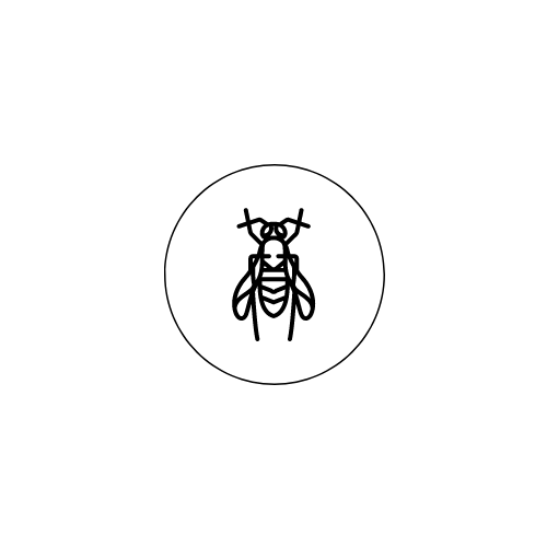 wood-borer-logo-1.png